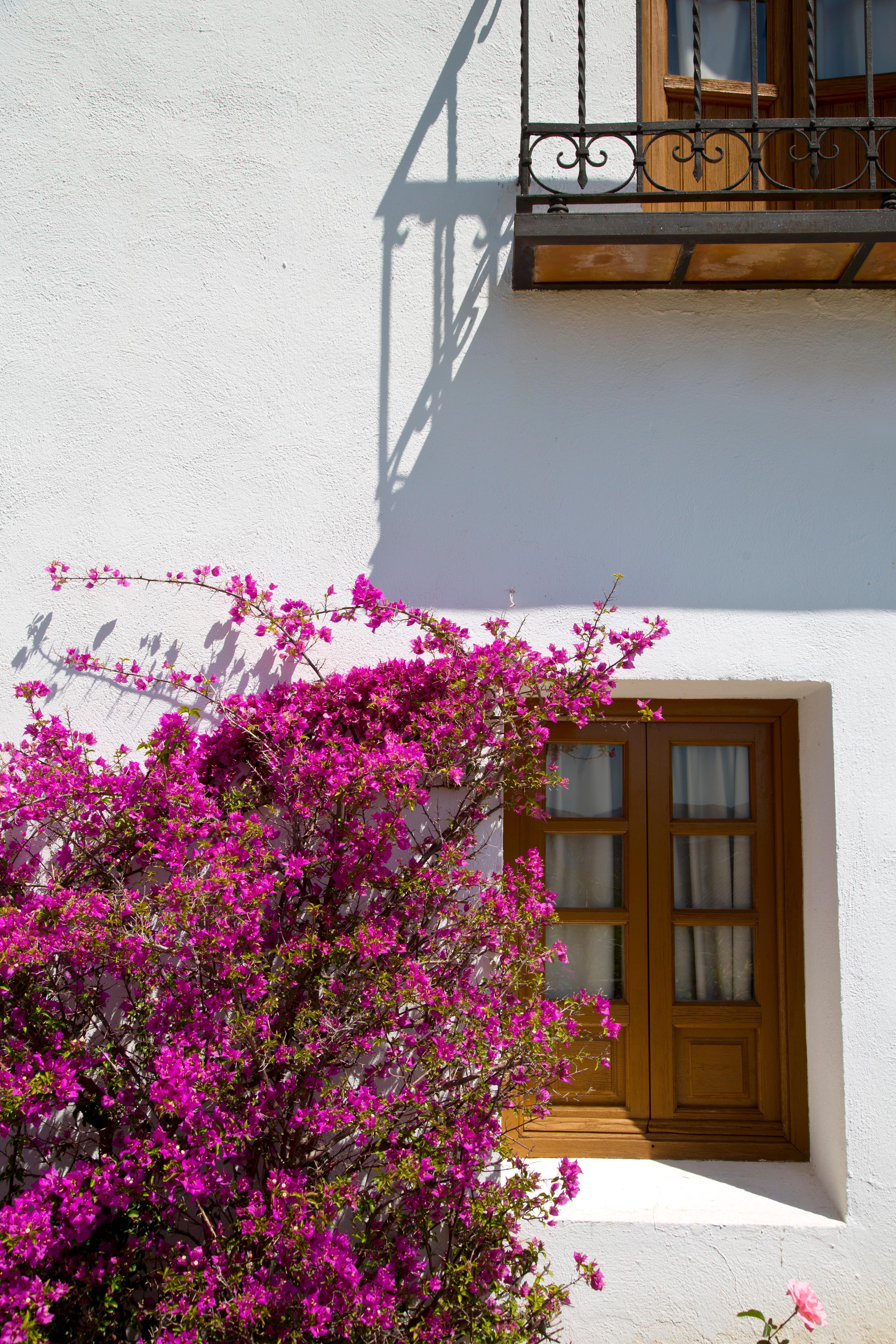 Villa Turistica De Priego ปรีเอโก เด กอร์โดบา ภายนอก รูปภาพ